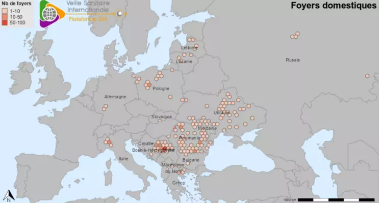 carte ppa au 8 septembre 2024