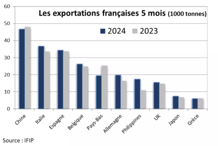 Graphique exportations francaise viande de porc 