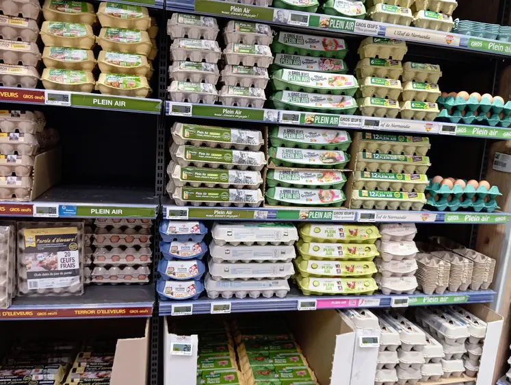 rayon oeufs en supermarché