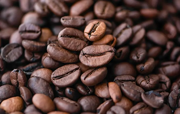 café arabica