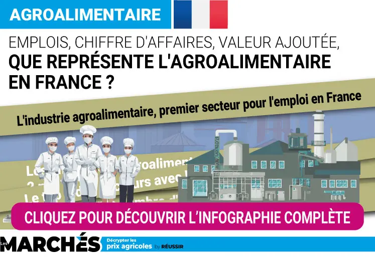 infographie sur un panorama de l'agroalimentaire français