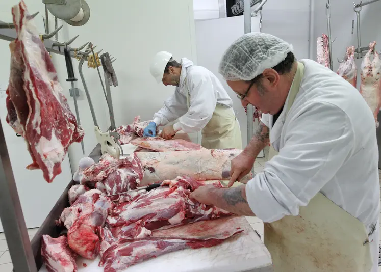 . Découpe d' un veau dans un abattoir et mise des morceaux sous vide et en caissette pour le compte d' un éleveur pratiquant la vente en direct d' une partie de son troupeau. 