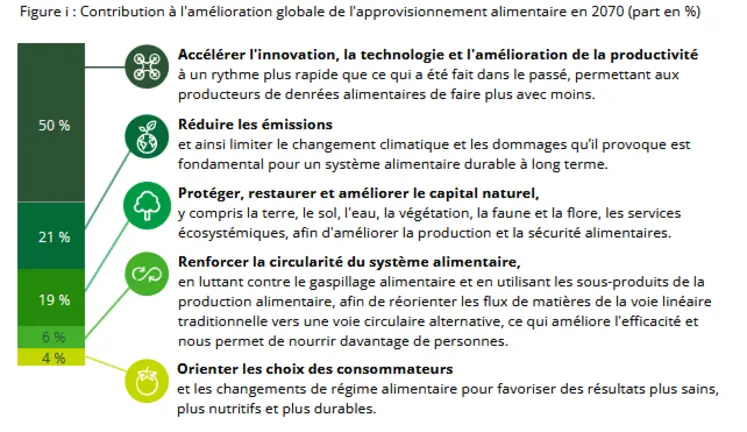 schéma de deloitte