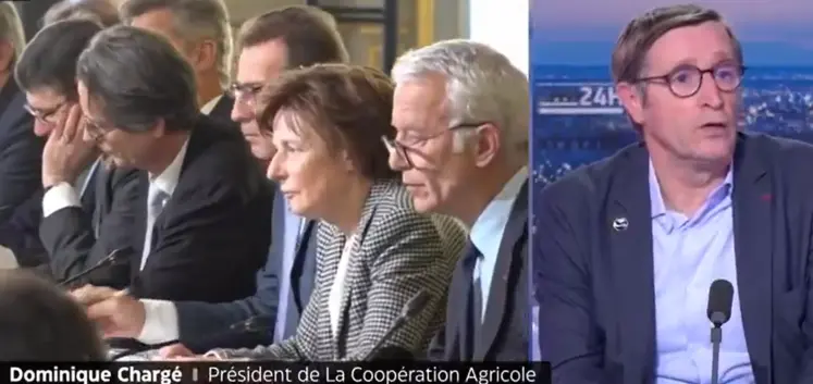 Dominique Chargé, président de la Coopération agricole, sur lci