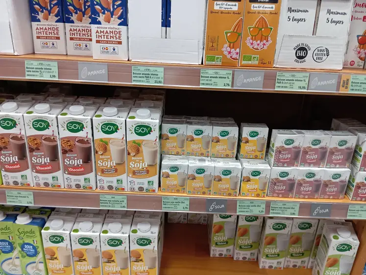 rayon lait végétal en magasin bio