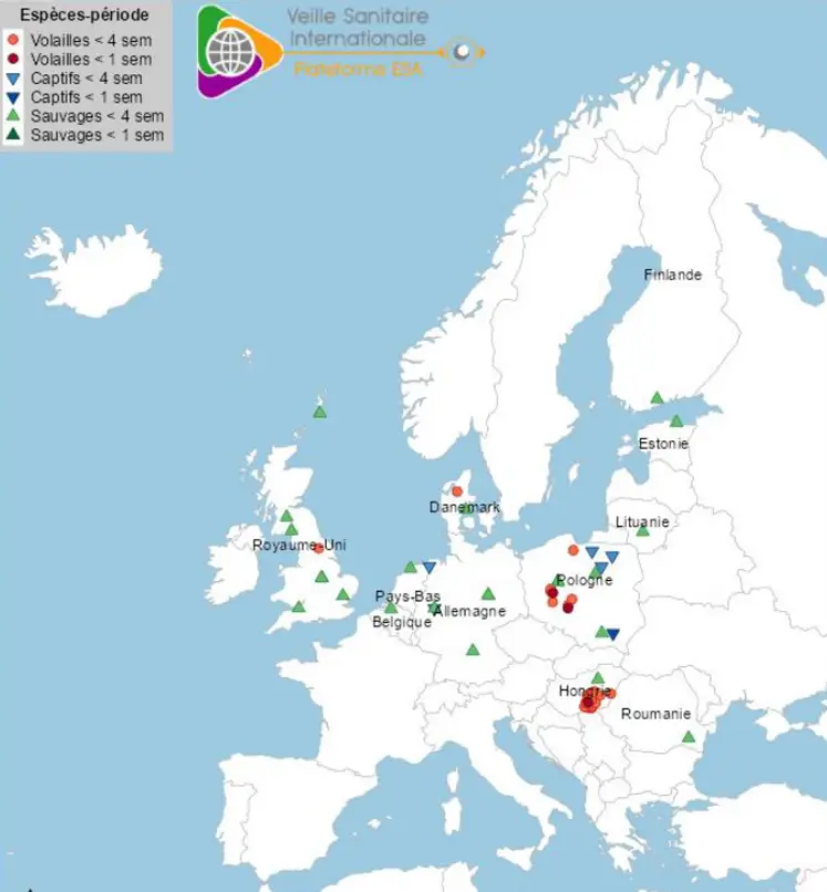 Cartes des cas de grippe aviaire en Europe au 6 mai