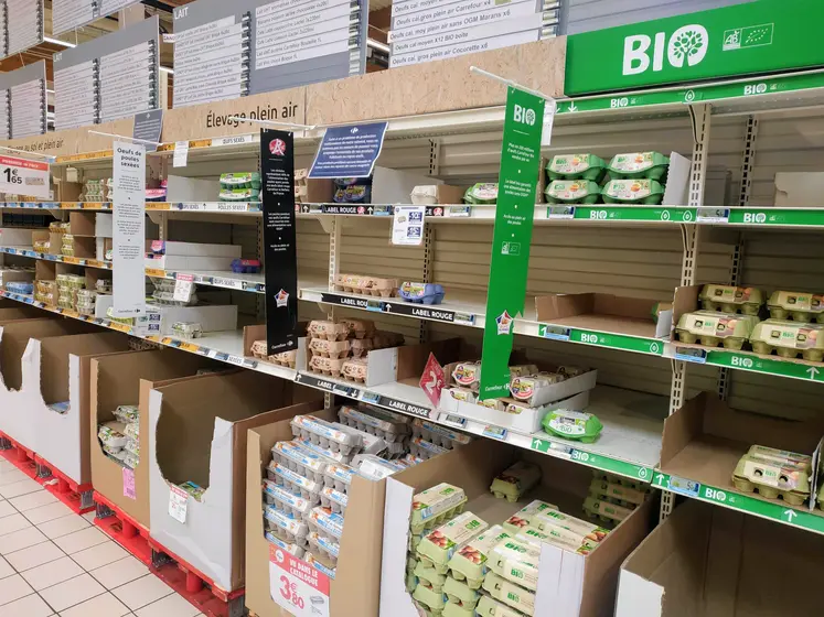 rayon oeufs à carrefour