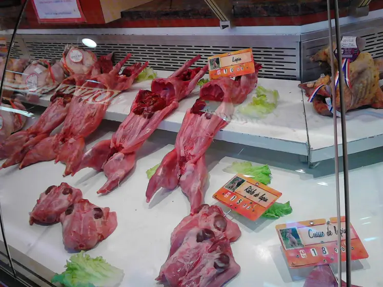 lapins en rayon