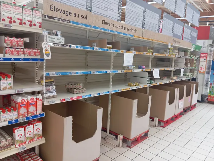 rayon oeuf vide en gms