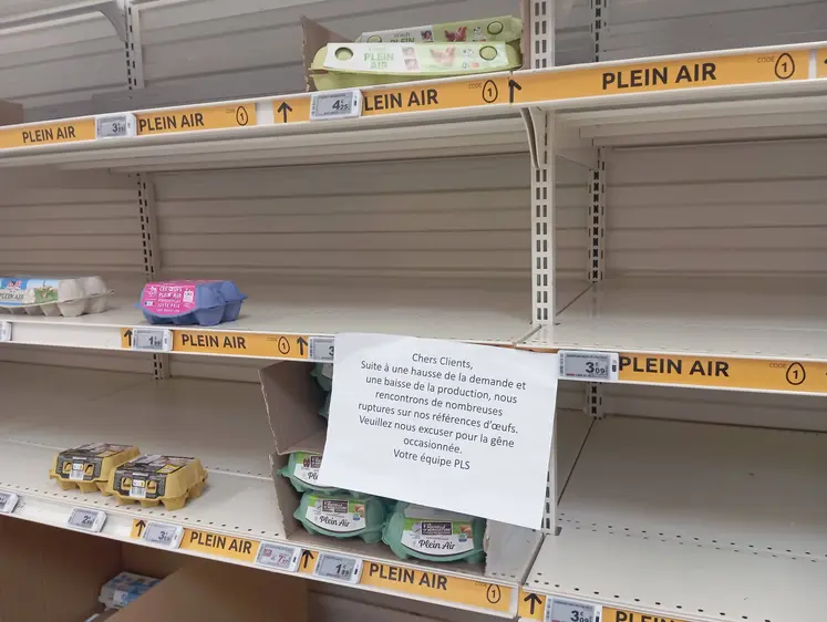 rayon oeuf vide en GMS