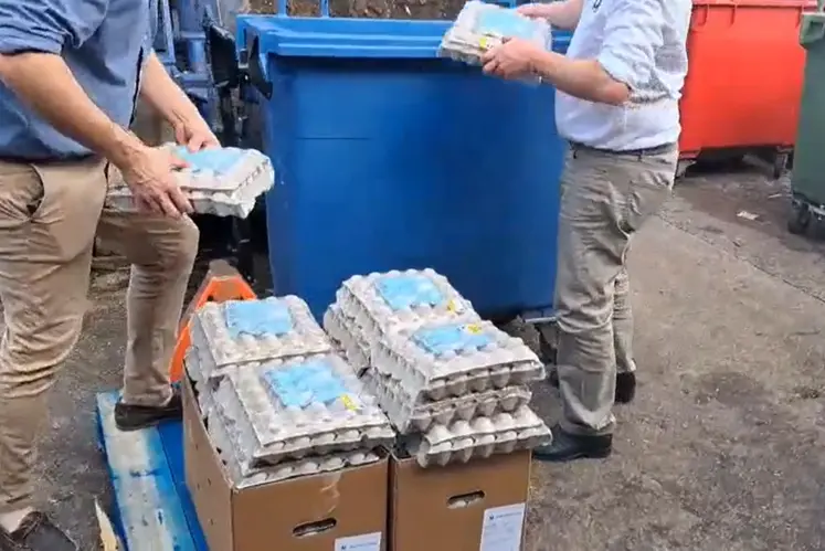 capture vidéo de gens mettant des oeufs à la poubelle