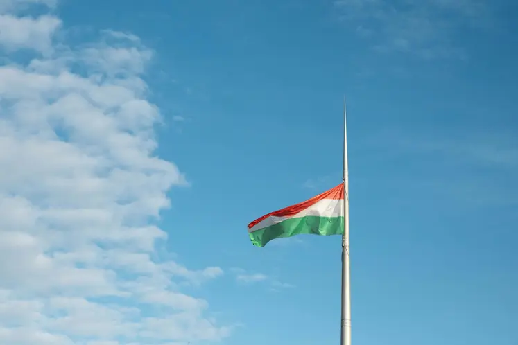 drapeau hongrois qui flotte au vent sur fond de ciel