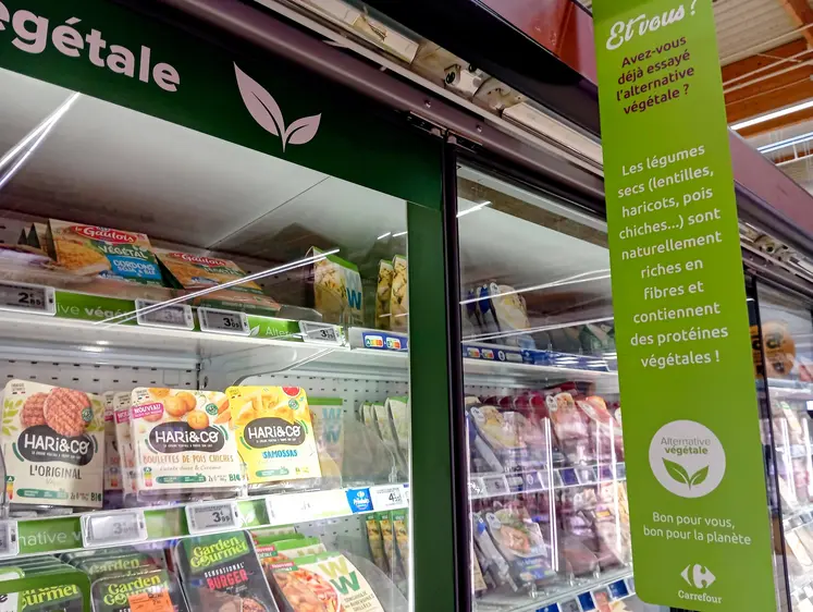 rayon alternatives végétales dans un supermarché