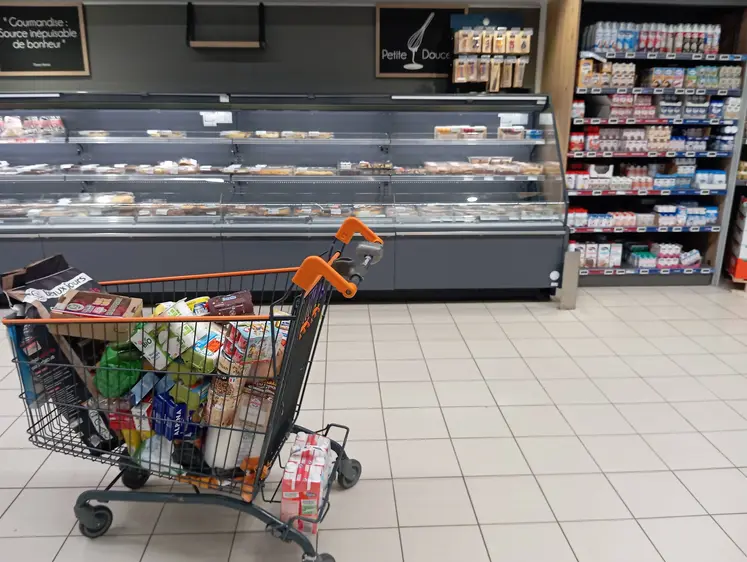 caddie rempli de courses au supermarché