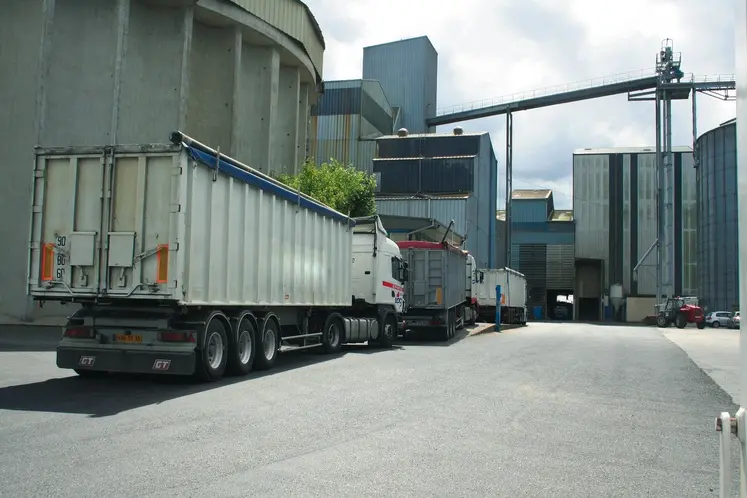 File d'attente de camions dans une usine d'aliment du bétail.