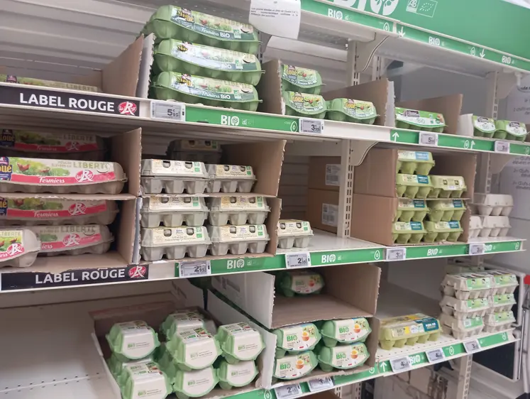 rayon oeufs en gms