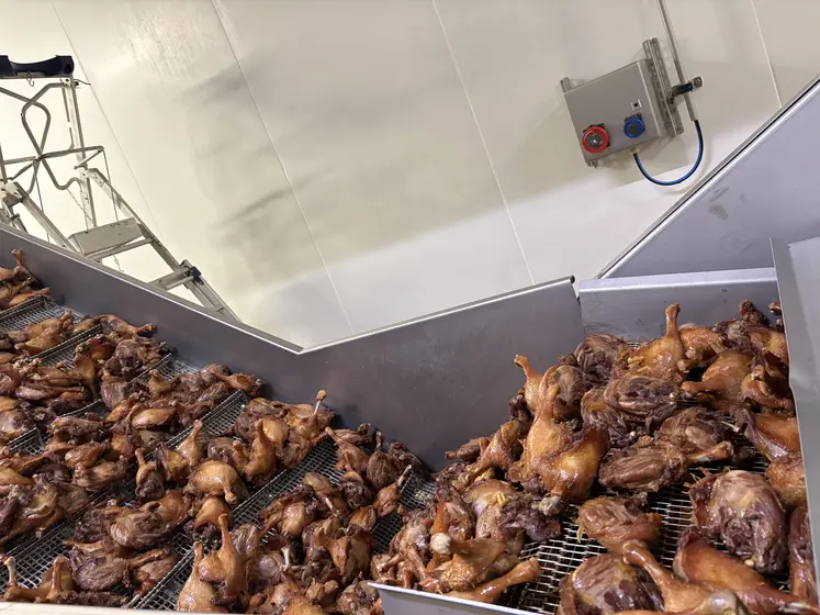 Confit de canard production Montfort