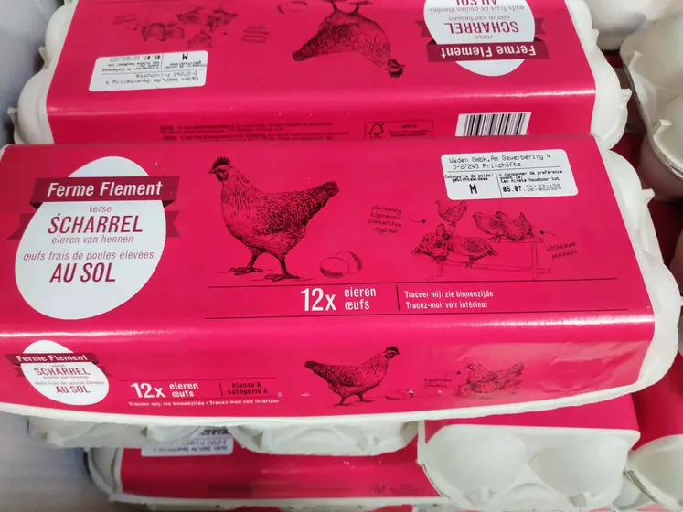 boite d'oeufs en Allemagne