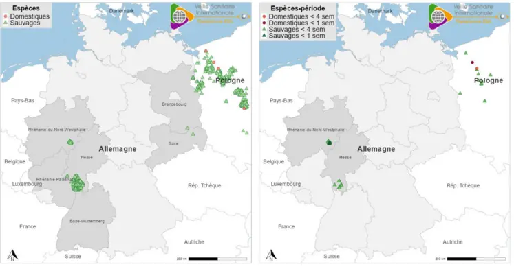 Carte évolution peste porcine en Allemagne en août 2025 