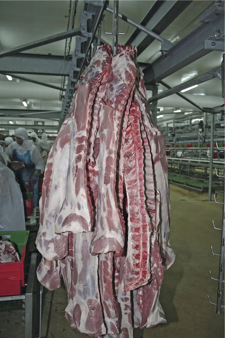 Morceaux de carcasse de porc dans un abattoir