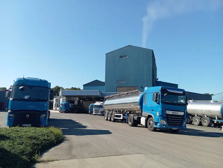 camions de collecte de lait devant une laiterie