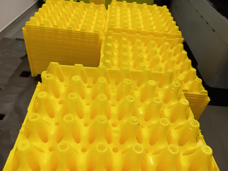 alvéole plastique pour les oeufs 