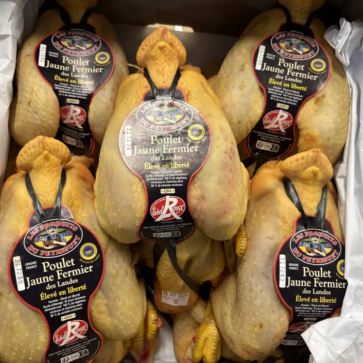Le poulet label Rouge Rungis