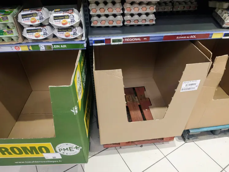 Oeufs en rayon vide