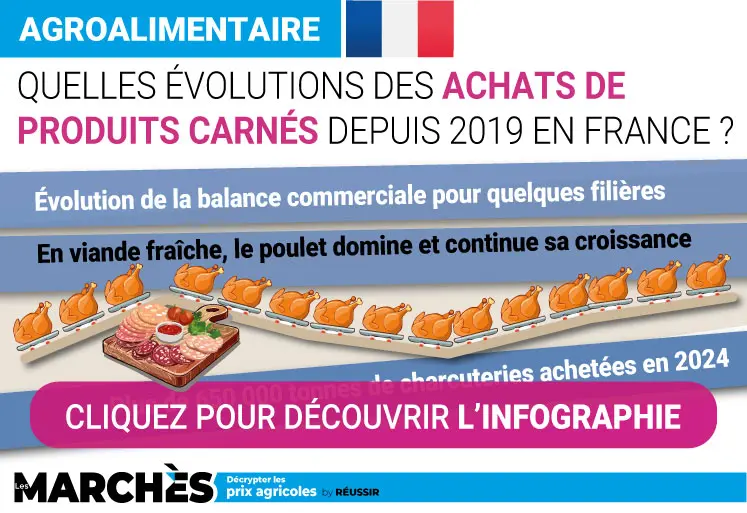 infographie sur la consommation de viande et volaille