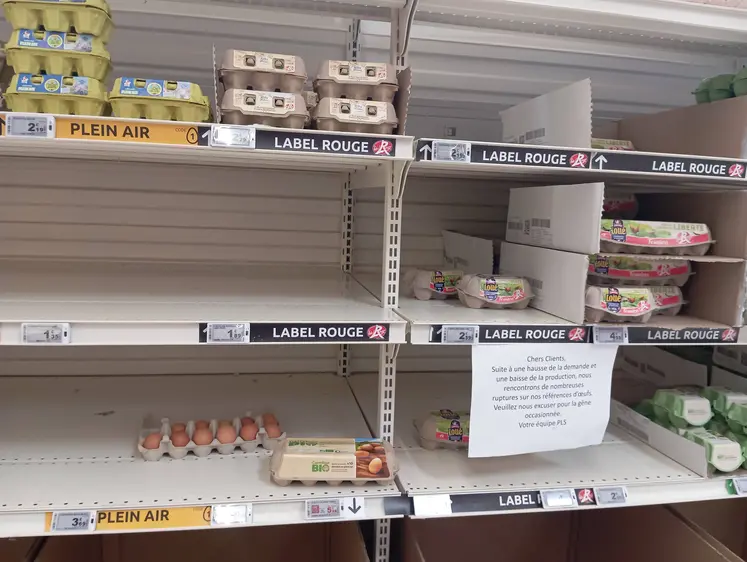 Rayon oeuf en grande surface