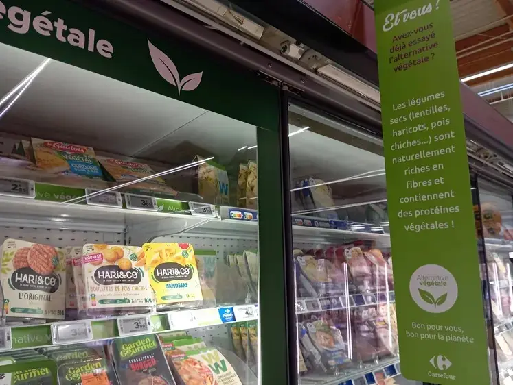 Rayon des alternatives végétales à la viande