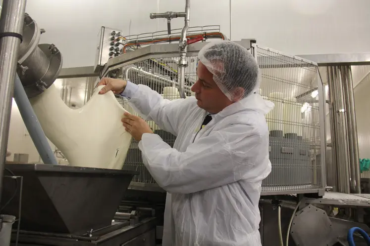 fabrication de mozzarella en usine
