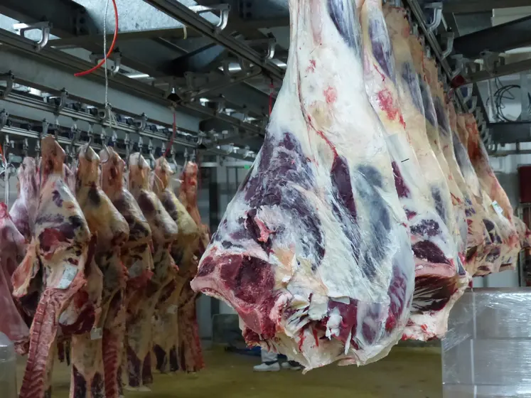 quartiers de boeufs pendus à l'abattoir