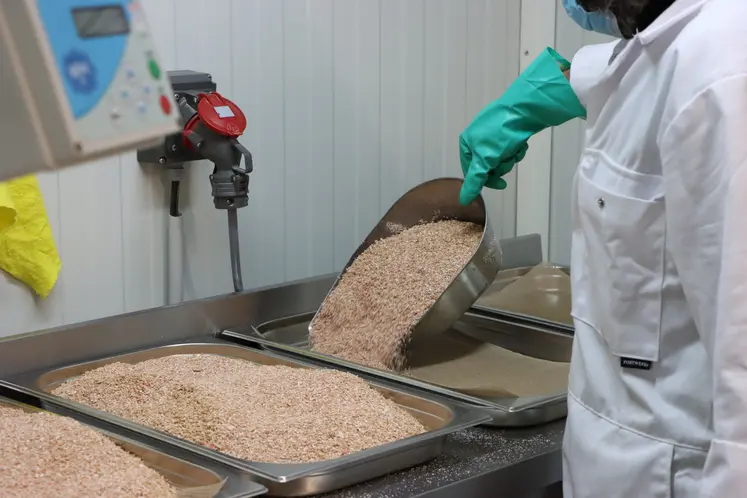 poudre de coquille d'oeuf dans une usine