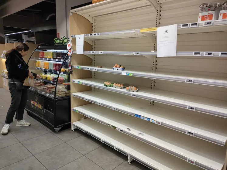 rayon oeuf vide en magasin