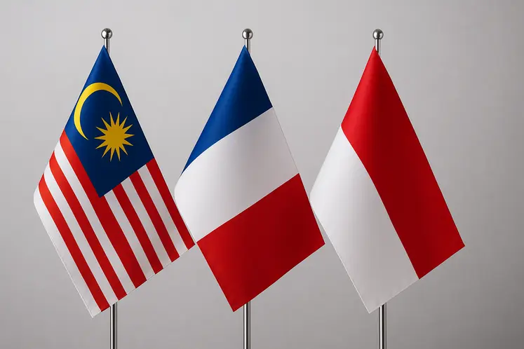 drapeau malaisie, indonésie et France