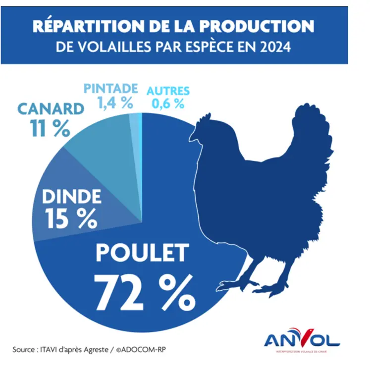 Anvol analyse volailles