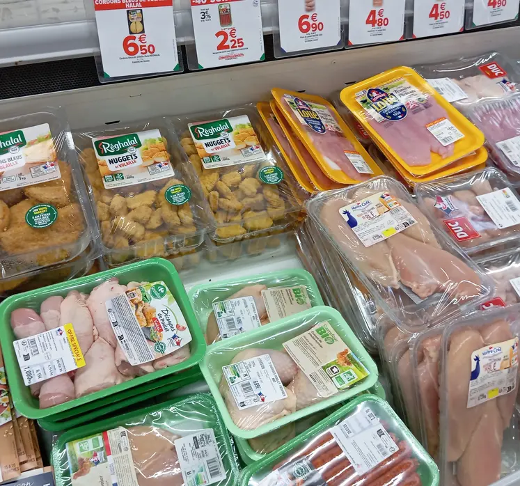 rayon supermarché rempli de volailles 