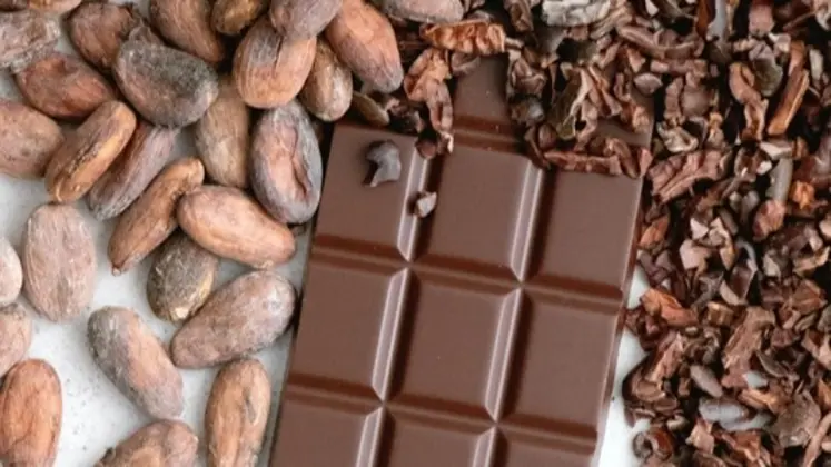Les cours du cacao ont chuté à plusieurs reprises à Londres et à New York en janvier 2026.