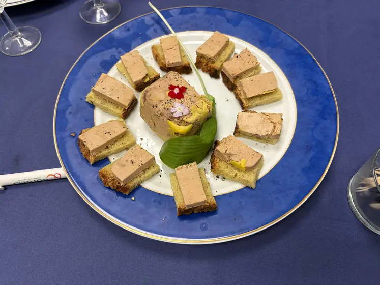 toasts au foie gras sur une assiette