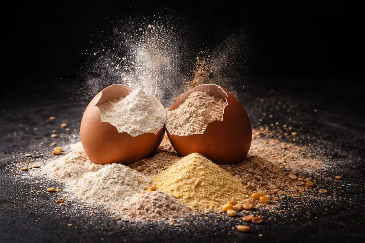 d'une coquille d'oeuf brisée, sortent des farines.