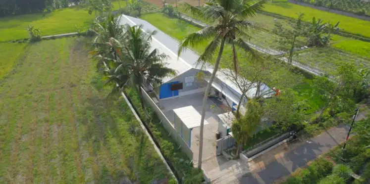 elevage en indonésie