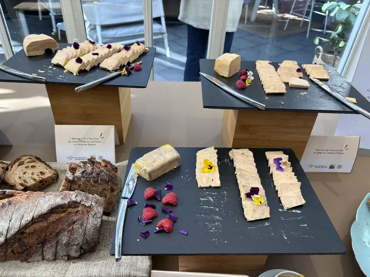 Foie gras cifog conférence