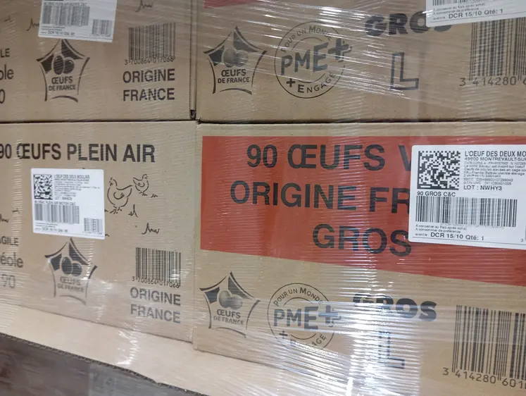 cartons sous film plastique