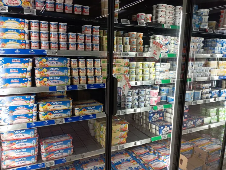 rayon produits laitiers en gms