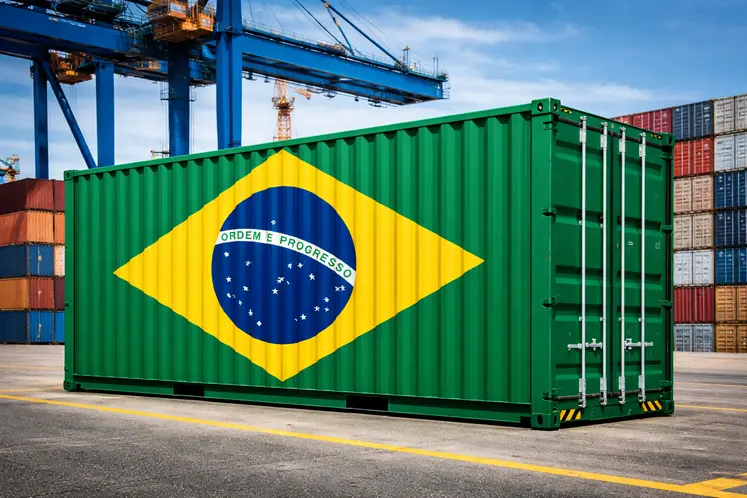 conteneur bresilien au port