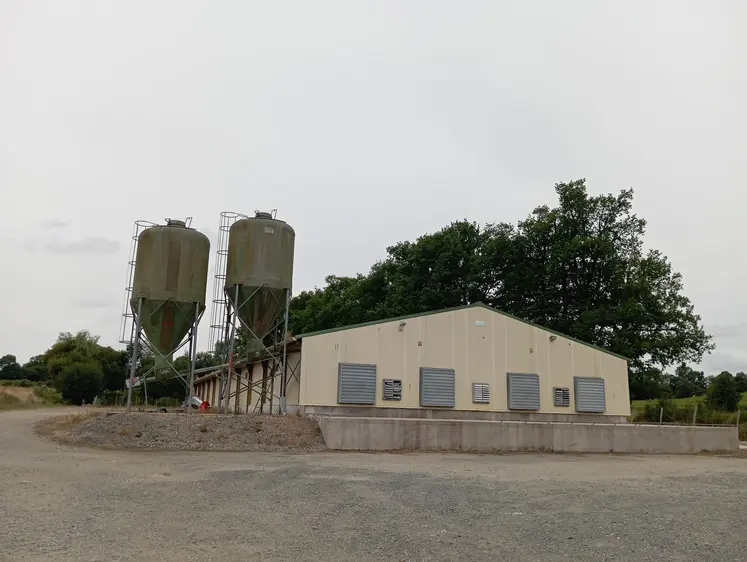 Elevage de poulets en bâtiment
