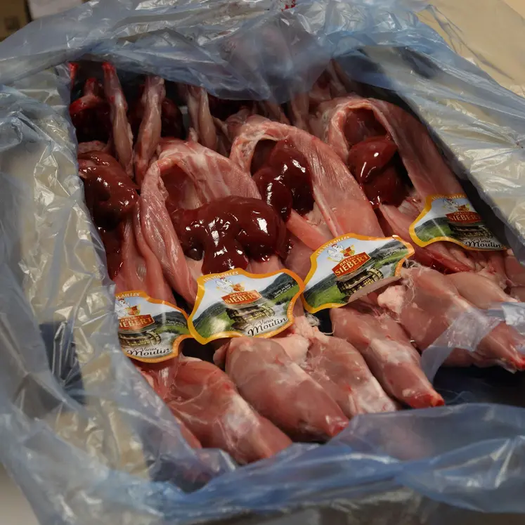 Viande de lapin 