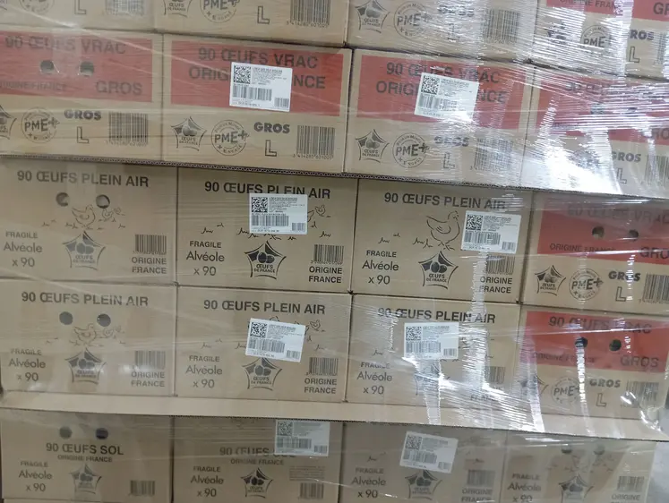 cartons sous film