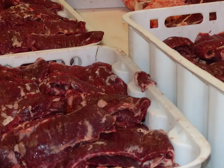 viande en usine